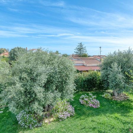 La Casa Degli Ulivi Appartamento In Villa Con Patio Quartu SantʼElena Exterior foto